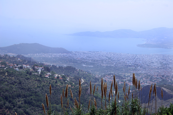 View of Volos Daytime plants